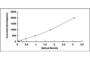 Typical standard curve (NRN1 ELISA 试剂盒)