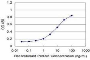 Detection limit for recombinant GST tagged RAX is approximately 0. (RAX 抗体  (AA 104-206))