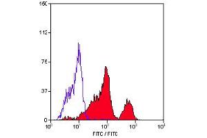 Staining of human peripheral blood lymphocytes with Mouse Anti Human CD226:Azid free (CD226 抗体)