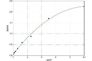 Keratin 16 (KRT16) ELISA Kit
