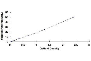 Typical standard curve (MMP11 ELISA 试剂盒)