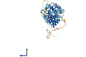 Protein Structure (PS) image for DEAD (Asp-Glu-Ala-Asp) Box Polypeptide 25 (DDX25) (AA 1-483) protein (His tag) (ABIN7547035)