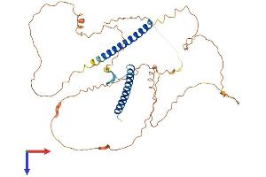 AlphaFold protein structure predicition of Mouse Recombinant Iqcc Protein, UniprotID A2ADZ8