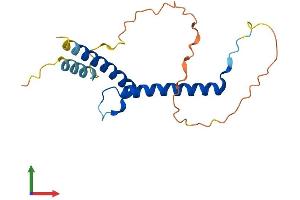 Protein Structure (PS) image for Fer3-Like (FERD3L) (AA 1-166) protein (His tag) (ABIN7547721)