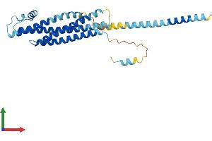 AlphaFold protein structure predicition of Mouse Recombinant Stx3 Protein, UniprotID Q64704 (STX3 Protein (AA 1-289) (His tag))