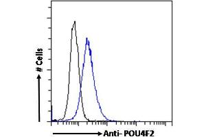 ABIN6391381 Flow cytometric analysis of paraformaldehyde fixed MCF7 cells (blue line), permeabilized with 0. (POU4F2 抗体  (Internal Region))