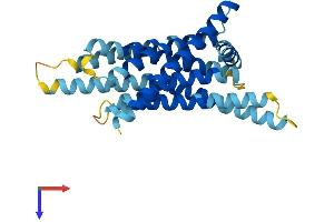 AlphaFold protein structure predicition of Human Recombinant TAS2R19 Protein, UniprotID P59542