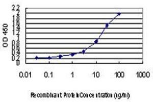 Detection limit for recombinant GST tagged GSR is approximately 0. (Glutathione Reductase 抗体  (AA 413-522))