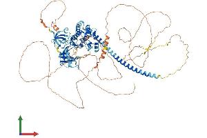 Protein Structure (PS) image for Mitogen-Activated Protein Kinase Kinase Kinase 11 (MAP3K11) (AA 1-850) protein (His tag) (ABIN7564286)