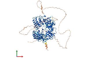 AlphaFold protein structure predicition of Mouse Recombinant Lig1 Protein, UniprotID P37913