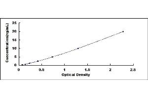 Typical standard curve (PLOD3 ELISA 试剂盒)