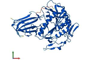 Protein Structure (PS) image for Acyl-CoA Thioesterase 4 (ACOT4) (AA 1-421) protein (His tag) (ABIN7558966)