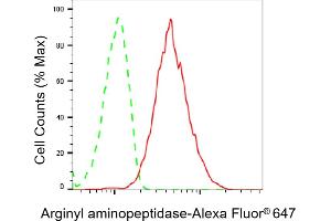 Flow cytometric analysis of Arginyl aminopeptidase expression in HepG2 cells using Arginyl aminopeptidase antibody (ABIN7797648), 1:2,000). (RNPEP 抗体)