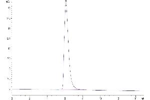 Size-exclusion chromatography-High Pressure Liquid Chromatography (SEC-HPLC) image for V-Set Domain Containing T Cell Activation Inhibitor 1 (VTCN1) (AA 29-258) protein (Fc Tag) (ABIN7273961)