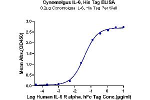 Immobilized Cynomolgus IL-6, His Tag at 2 μg/mL (100 μL/well) on the plate.