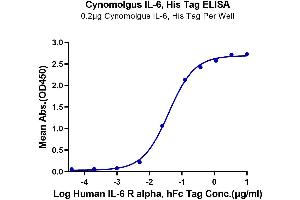 Immobilized Cynomolgus IL-6, His Tag at 2 μg/mL (100 μL/well) on the plate. (IL-6 Protein (AA 28-212) (His tag))
