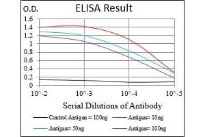 Black line: Control Antigen (100 ng), Purple line: Antigen(10 ng), Blue line: Antigen (50 ng), Red line: Antigen (100 ng), (Importin 9 抗体  (AA 453-680))