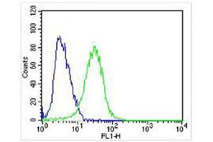 Overlay histogram showing SH-SY5Y cells stained with (ABIN652381 and ABIN2841827) (green line). (TrkA-pY791 (AA 769-796) 抗体)