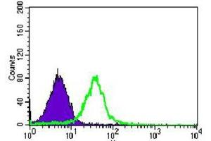 Flow Cytometry (FACS) image for anti-Bone Morphogenetic Protein Receptor 1A (BMPR1A) (AA 179-378) antibody (ABIN1845272) (BMPR1A 抗体  (AA 179-378))