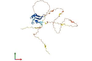 AlphaFold protein structure predicition of Human Recombinant DAZL Protein, UniprotID Q92904