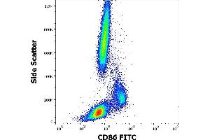 Flow cytometry surface staining pattern of human peripheral whole blood stained using anti-human CD86 (BU63) FITC antibody (20 μL reagent / 100 μL of peripheral whole blood).