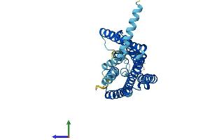 Protein Structure (PS) image for Olfactory Receptor 2F1 (OR2F1) (AA 1-317) protein (His tag) (ABIN7550072)
