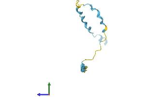 Protein Structure (PS) image for Small Proline-Rich Protein 2F (SPRR2F) (AA 1-76) protein (Fc Tag) (ABIN7562567)