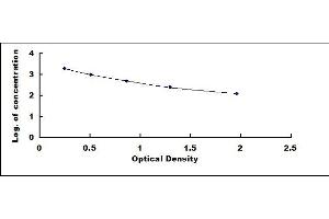 Typical standard curve (Estrone ELISA 试剂盒)