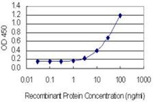 Detection limit for recombinant GST tagged CEP55 is 0. (CEP55 抗体  (AA 1-464))