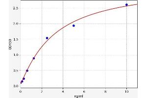 Typical standard curve (GBA3 ELISA 试剂盒)