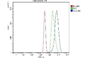 Flow Cytometry analysis of K562 cells using anti-SEC24C antibody (ABIN7600303). (SEC24C 抗体  (AA 178-1033))