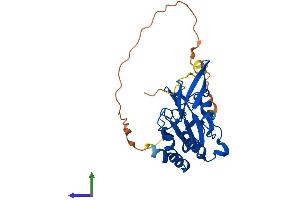 Protein Structure (PS) image for CTD Small Phosphatase-Like Protein (CTDSPL) (AA 1-276) protein (His tag) (ABIN7556519)