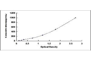 Typical standard curve