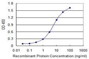 Detection limit for recombinant GST tagged FOXC2 is 0. (FOXC2 抗体  (AA 156-256))