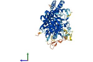 Protein Structure (PS) image for Misato Homolog 1 (MSTO1) (AA 1-556) protein (His tag) (ABIN7557016)