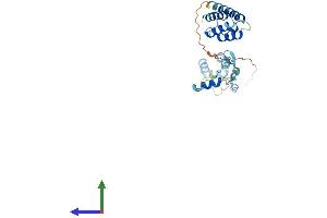 Protein Structure (PS) image for CUE Domain Containing 2 (CUEDC2) (AA 1-284) protein (His tag) (ABIN7560734)
