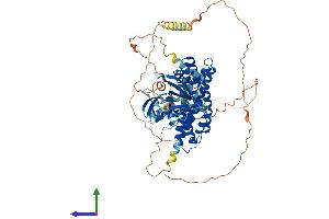 Protein Structure (PS) image for rho Guanine Nucleotide Exchange Factor (GEF) 4 (ARHGEF4) (AA 1-690) protein (His tag) (ABIN7552204)