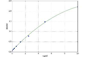 A typical standard curve (Lamin B1 ELISA 试剂盒)