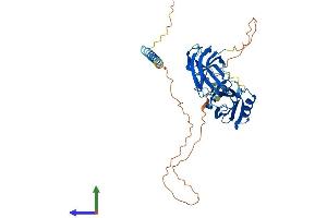 Protein Structure (PS) image for Synaptotagmin XI (SYT11) (AA 1-431) protein (His tag) (ABIN7544092)