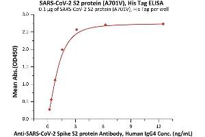 ELISA image for SARS-CoV-2 Spike S2 (B.1.351 - beta) (Active) protein (His tag) (ABIN6992376)