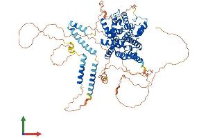 Protein Structure (PS) image for phosphodiesterase 4B, cAMP-Specific (PDE4B) (AA 1-736) protein (His tag) (ABIN7554878)