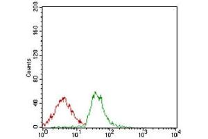 Flow Cytometry (FACS) image for anti-Activated Leukocyte Cell Adhesion Molecule (ALCAM) (AA 48-216) antibody (ABIN1846221)
