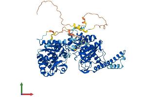 Protein Structure (PS) image for Glycogen Synthase 2, Liver (GYS2) (AA 1-704) protein (His tag) (ABIN7559810)