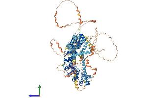 AlphaFold protein structure predicition of Human Recombinant ESPNL Protein, UniprotID Q6ZVH7