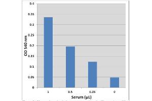 Glucose detection in human serum using the Glucose Assay Kit (Colorimetric). (Glucose Assay Kit (Colorimetric))