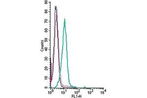 Cell surface detection of AXL by indirect flow cytometry in live intact human  monocytic leukemia cell line: + goat-anti-rabbit-FITC. (AXL 抗体  (Extracellular))