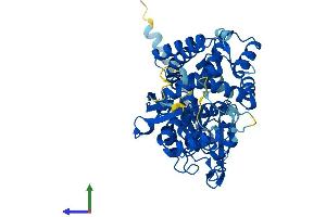 Protein Structure (PS) image for Cytochrome P450, Family 8, Subfamily B, Polypeptide 1 (CYP8B1) (AA 1-501) protein (His tag) (ABIN7546738)