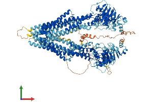 AlphaFold protein structure predicition of Human Recombinant ABCB4 Protein, UniprotID P21439