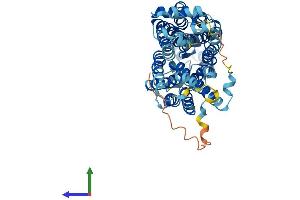 Protein Structure (PS) image for Solute Carrier Family 22 Member 4 (SLC22A4) (AA 1-551) protein (His tag) (ABIN7555348)