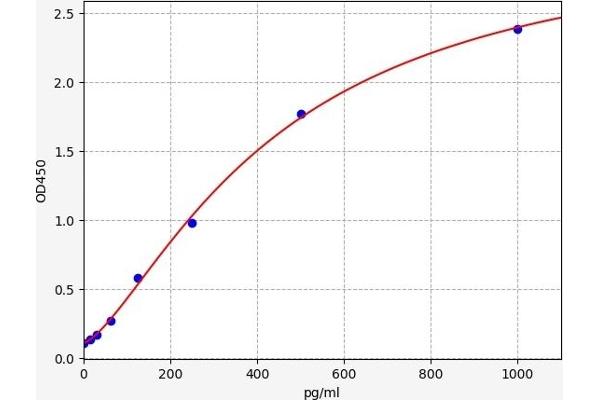 PYGB ELISA 试剂盒